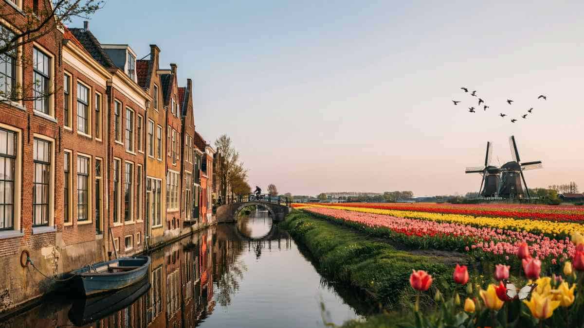Netherlands