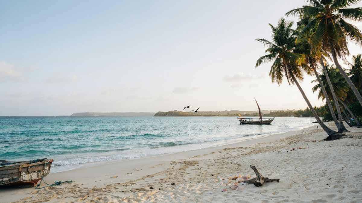 Zib - travel and tour world