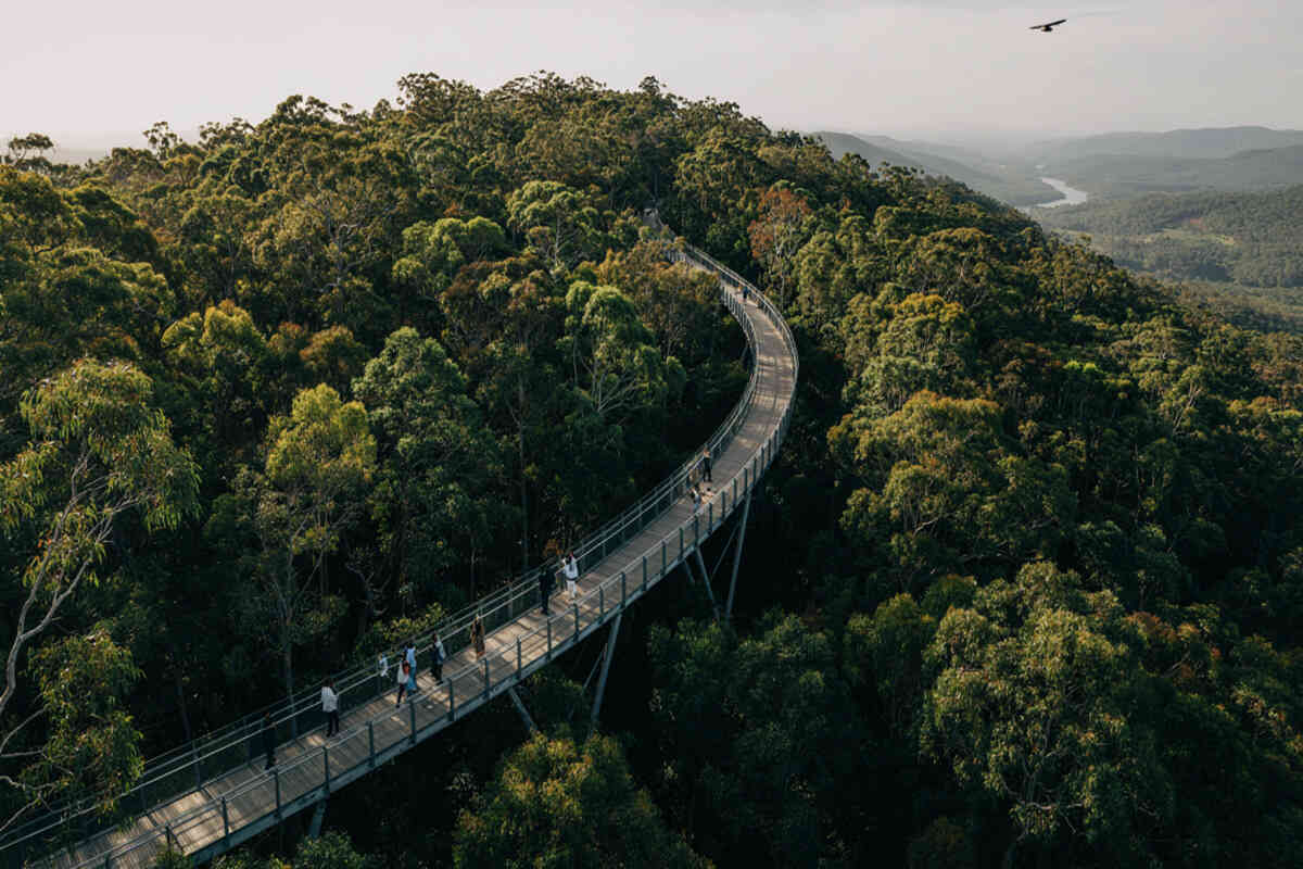 Tamworth Skywalk
Australia&rsquo;s
Treetop