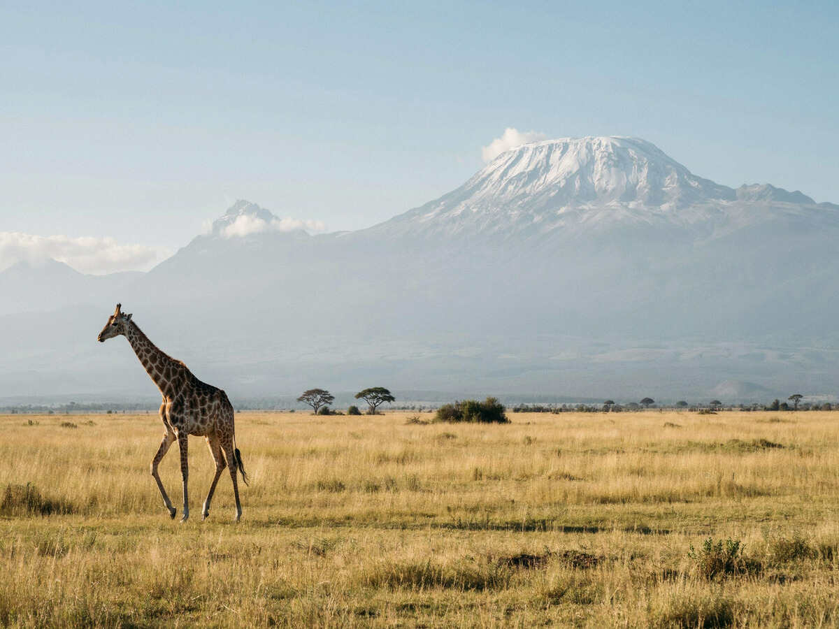 Kenya 2 - travel and tour world Kenya