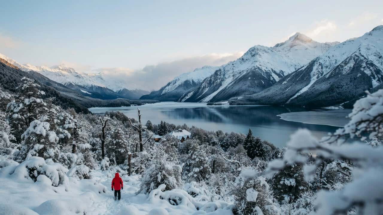 new_img