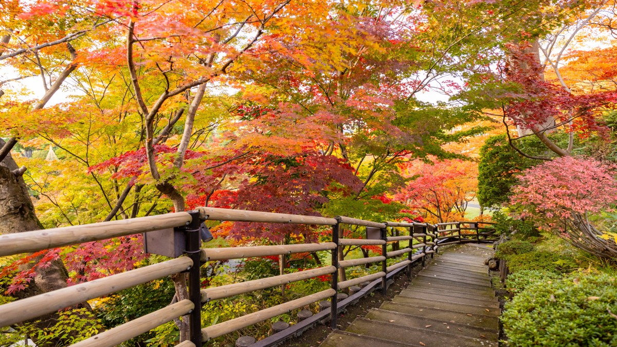 Aomori tourism