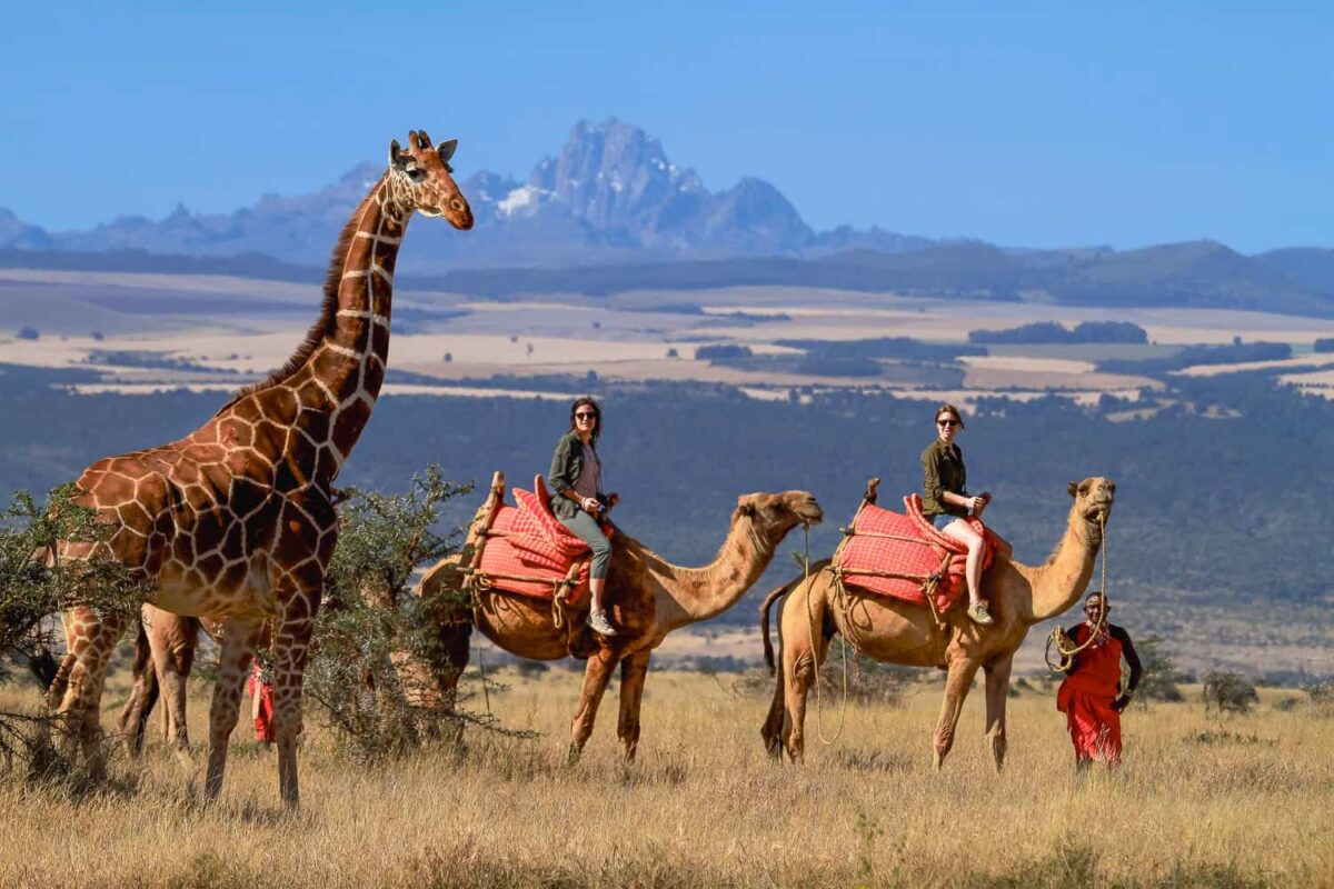 African travel initiatives 2026: official updates on visa-free frameworks and tourism expansion
