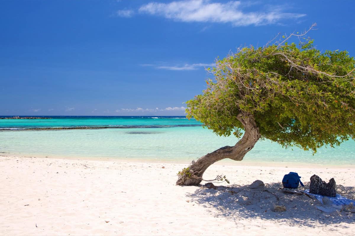 Uk steps up with austria, belgium and more among 84 visa free travel countries boosting aruba tourism