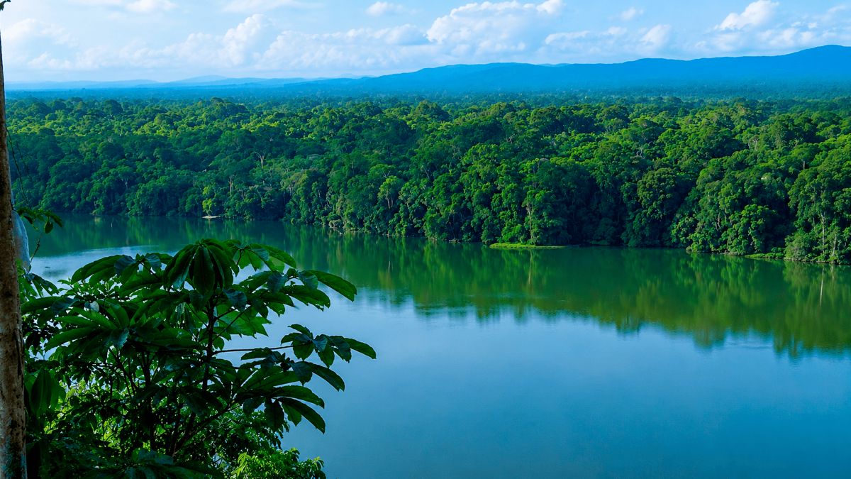 Madidi Aligns With Sajama and More in Bolivia’s Dazzling Tourism Revolution