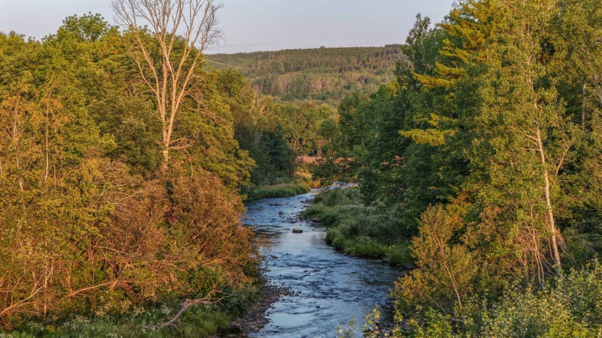 New Cabot Wilds Resort to Boost Golf and Luxury Tourism in Nova Scotia