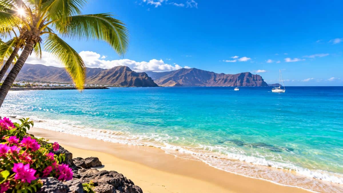 Canary islands coastal tourism resort with holiday accommodation buildings representing concerns over residential conversion and tourism sustainability. - travel and tour world Canary islands coastal tourism resort with holiday accommodation buildings representing concerns over residential conversion and tourism sustainability.