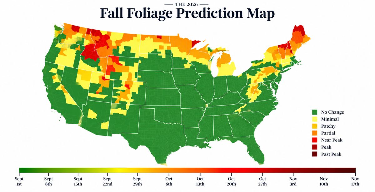 Colorado fall colors 2026