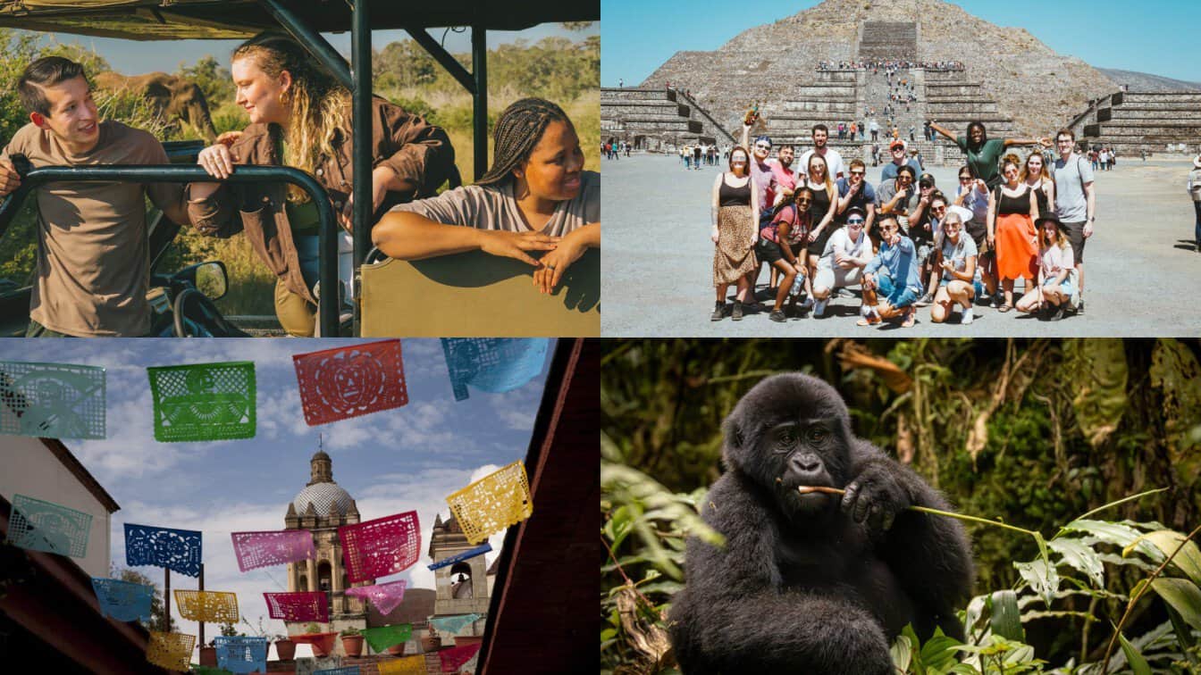 Contiki uganda wildlife tours and mexico travel experiences for young travellers