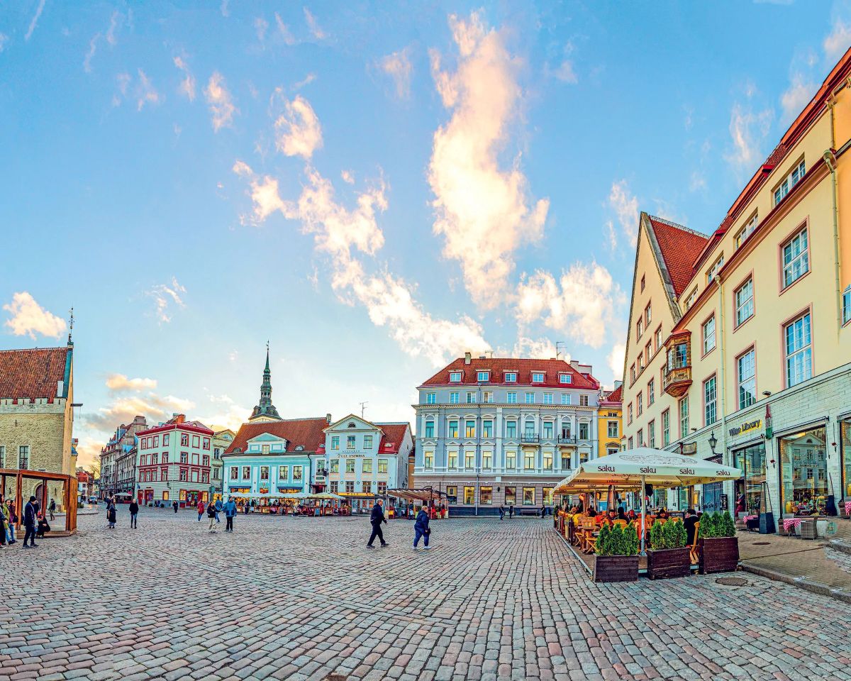Estonia travel featuring tallinn, soomaa, saaremaa and tartu