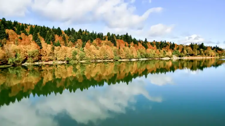 Georgia