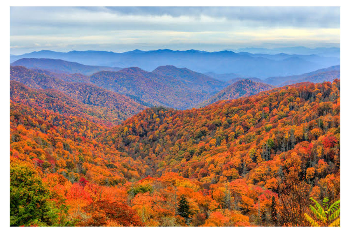 Us tourism growth 2026: florida and tennessee drive record visitors to great smoky mountains national park
