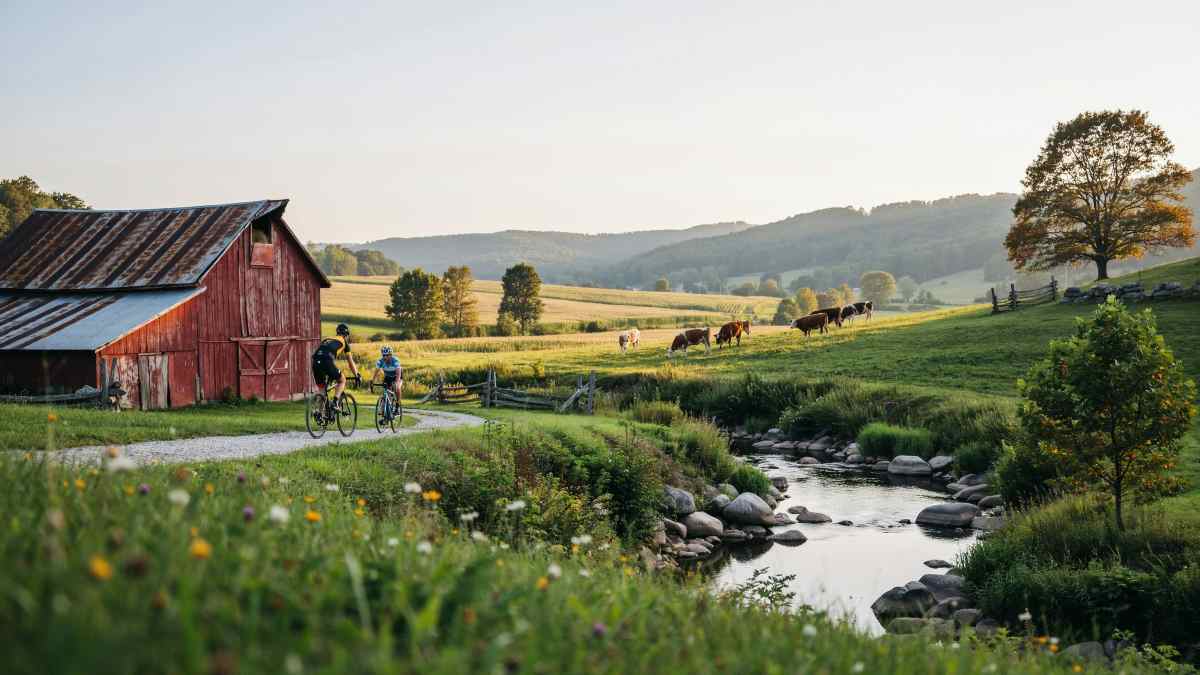 Gravel roads winding through driftless farm country
