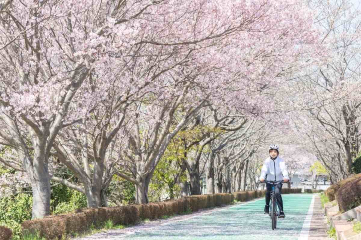 「道の駅」が単なる立ち寄りを忘れられない旅行体験に変え、日本の道路の魅力がさらに増える