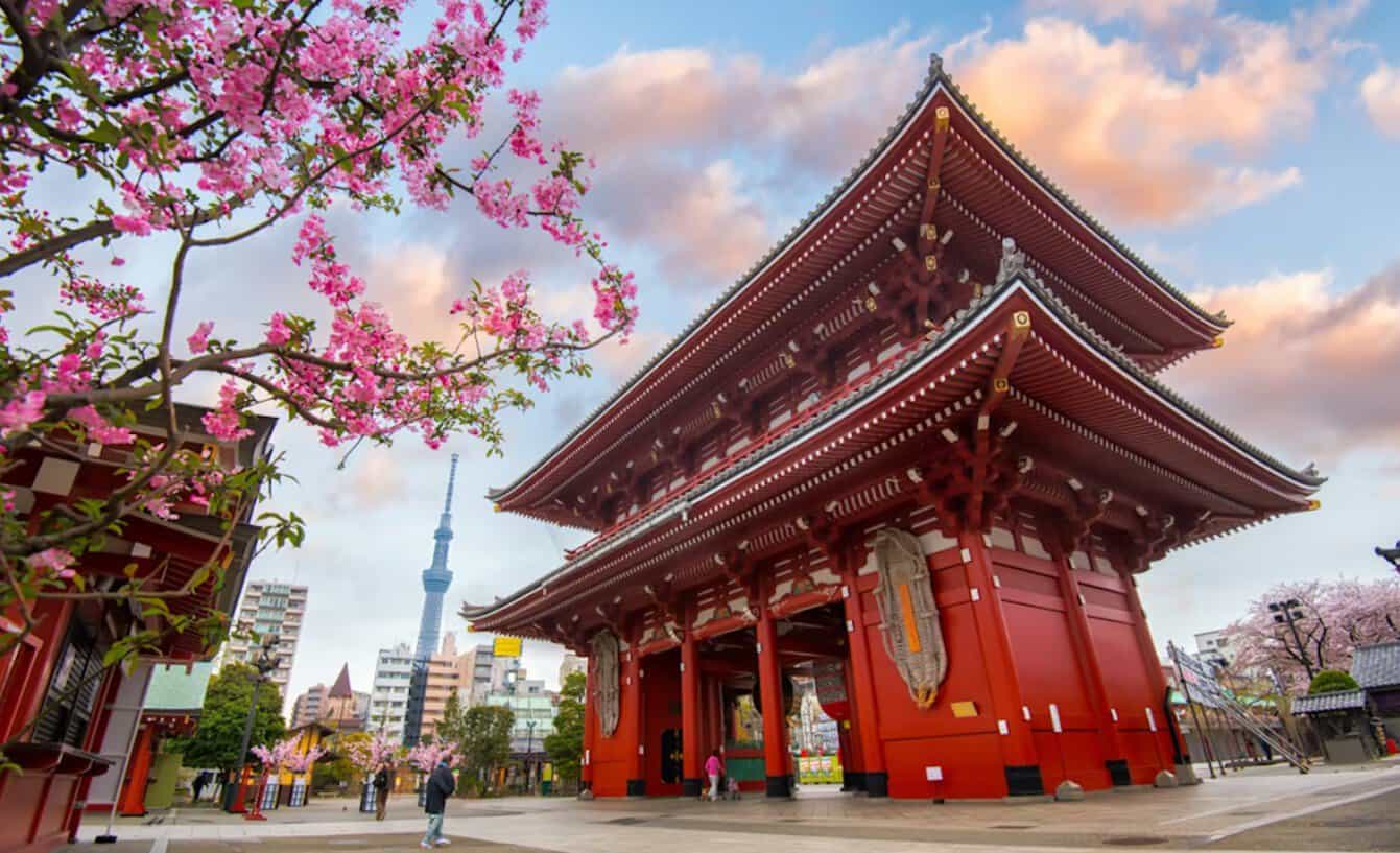 Japan welcomed 3. 1 million foreign visitors in august 2026, down 9. 6%, as chinese arrivals plunged 59% despite record growth from 14 markets.