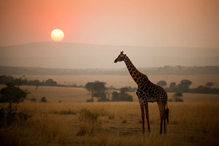 Tanzania