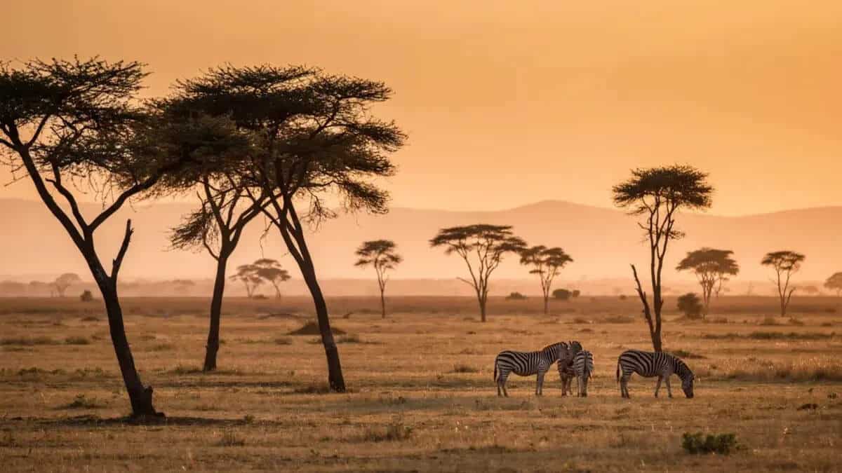 Australia travel advisory warning for kenya china and more destinations