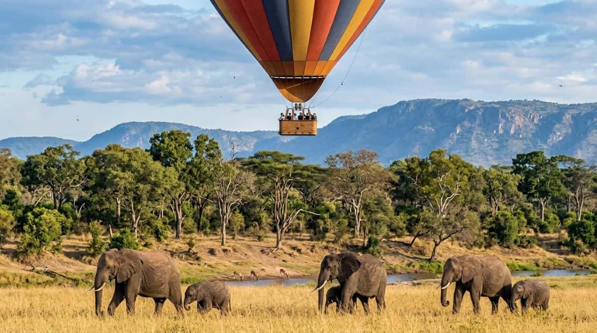 Kenya unites tanzania and others as african safari tourism gains momentum with rising travel spending in 2026