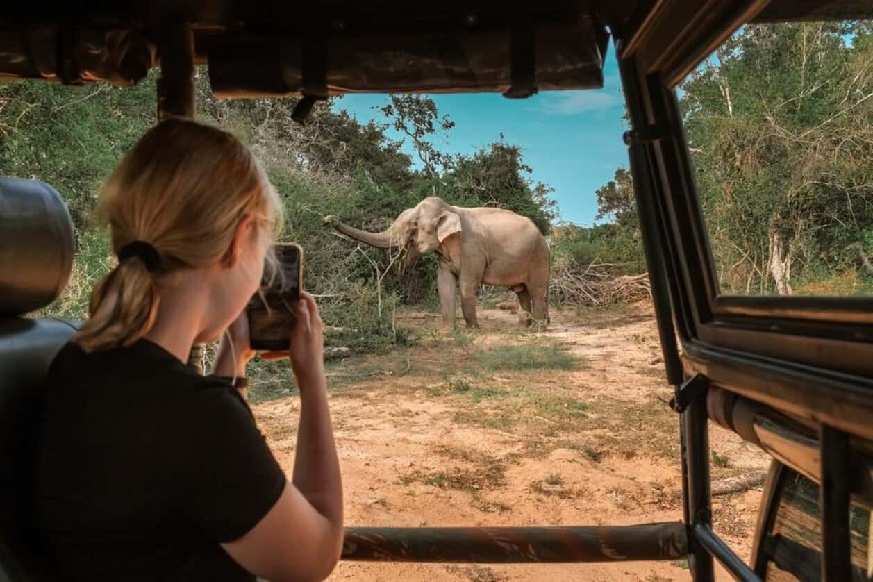 Traveller photographing an elephant during a kenya tourism safari game drive.