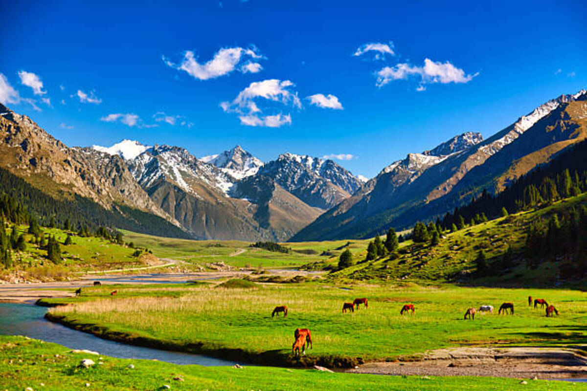Kyrgyzstan - travel and tour world Kyrgyzstan
Insurance Rules