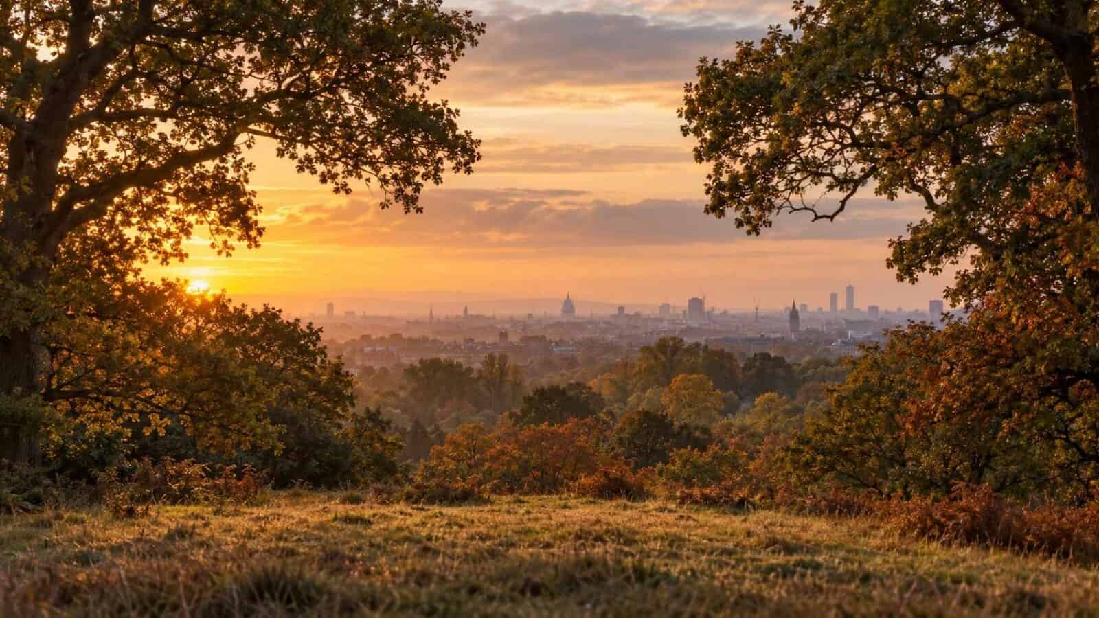 Illustration of london&rsquo;s protected views, with st paul&rsquo;s cathedral visible in the distance beyond richmond park.