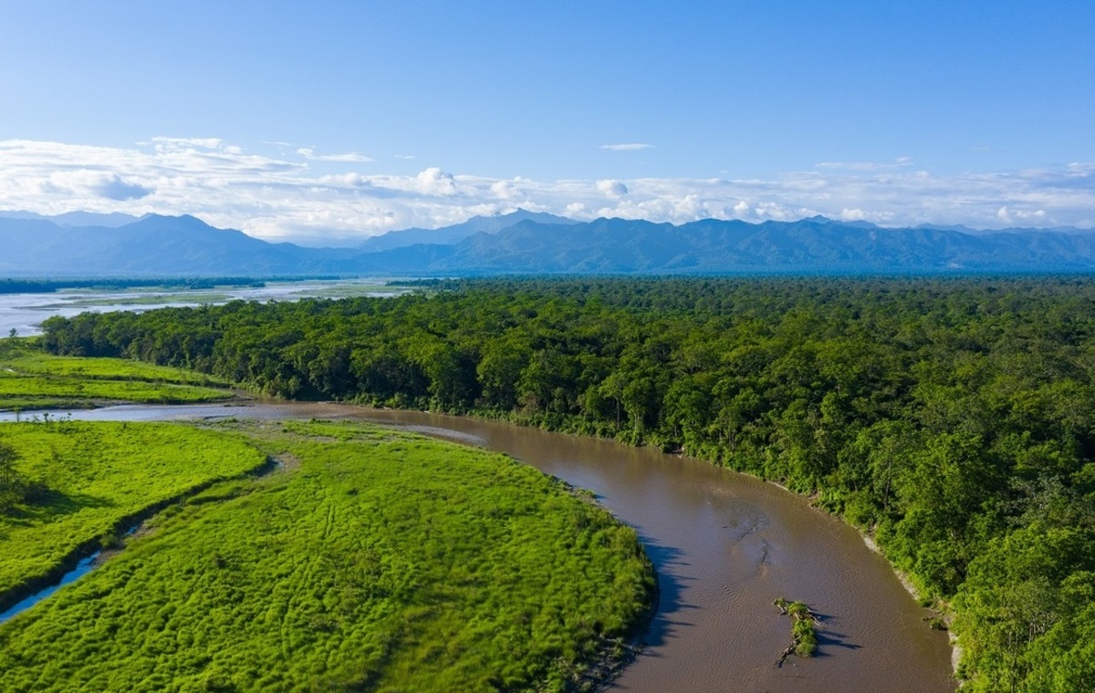 Manas national park