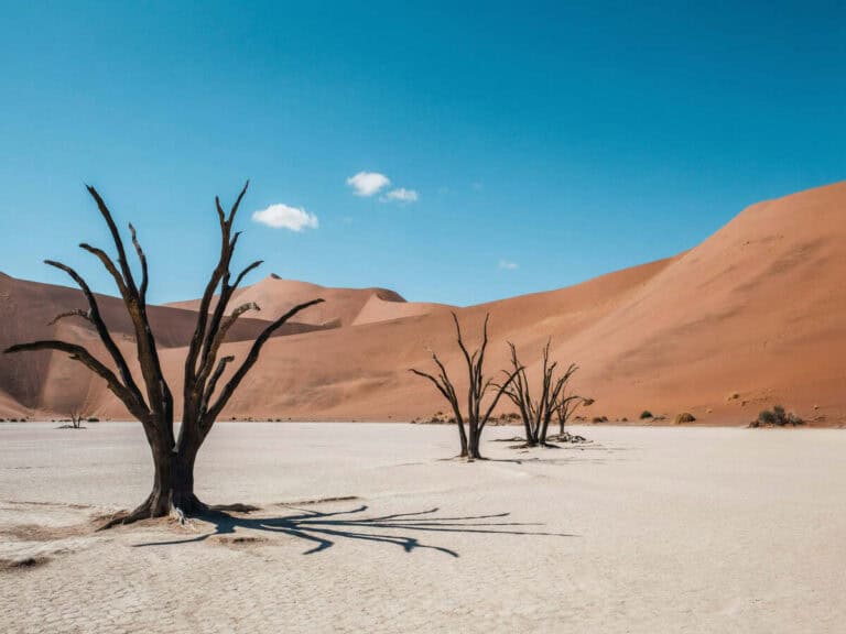 Mozambique