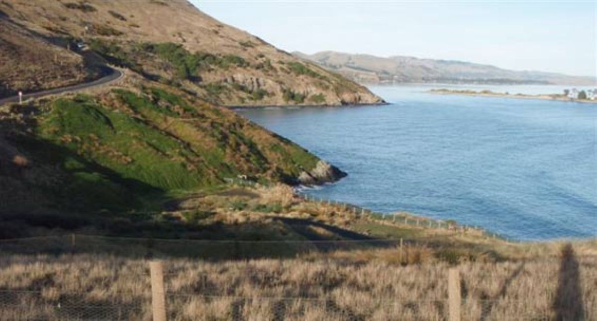 New zealand
