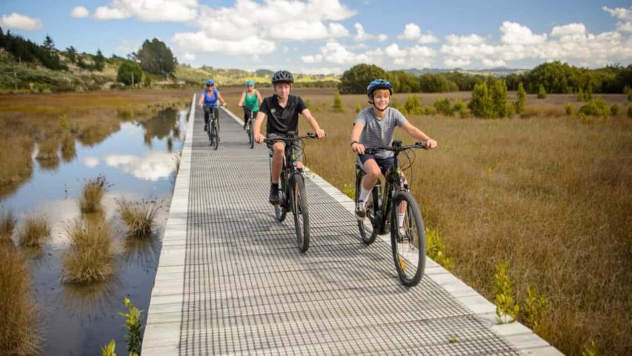 New zealand - travel and tour world New zealand northland tourism pou herenga tai twin coast cycle trail with cyclists exploring scenic landscapes