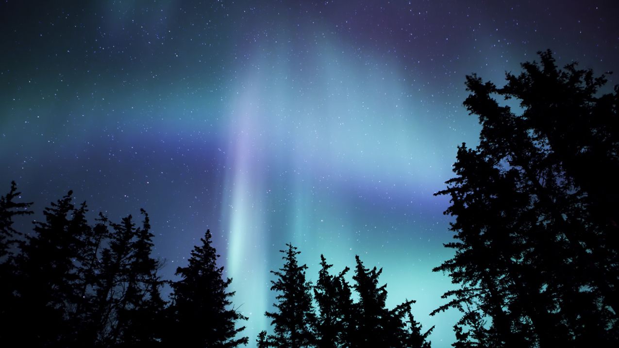 Northern lights illuminating an autumn landscape in the northern united states