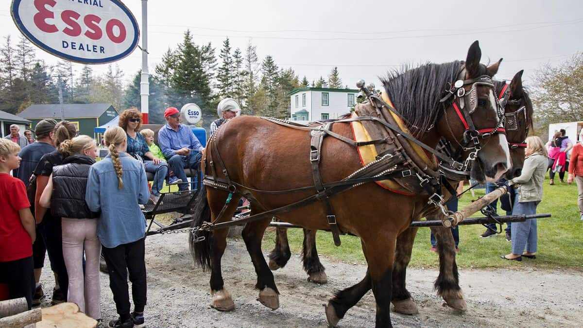 Nova scotia