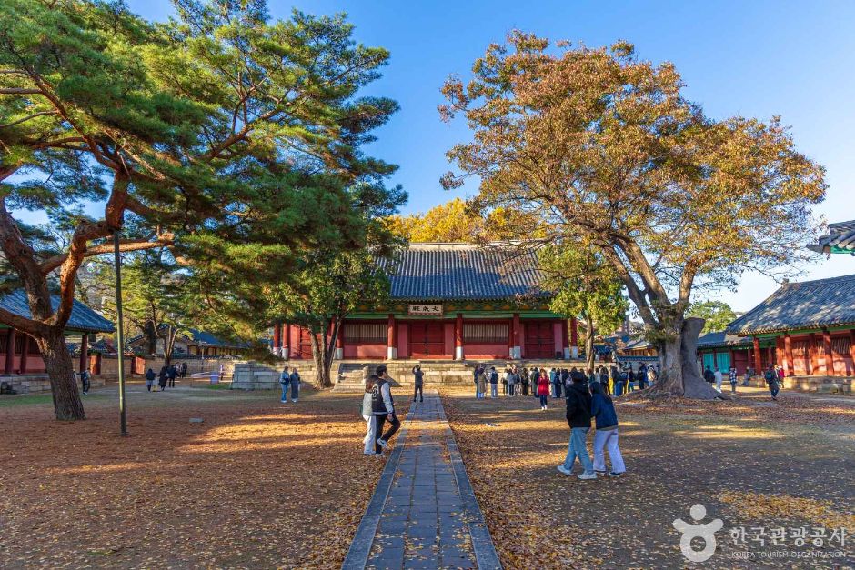 Cheongju and Many Other Cities of South Korea Unstopably Gain Attention from Japanese Tourists