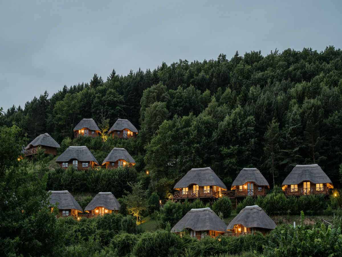 Rwanda gorilla tourism - travel and tour world Rwanda