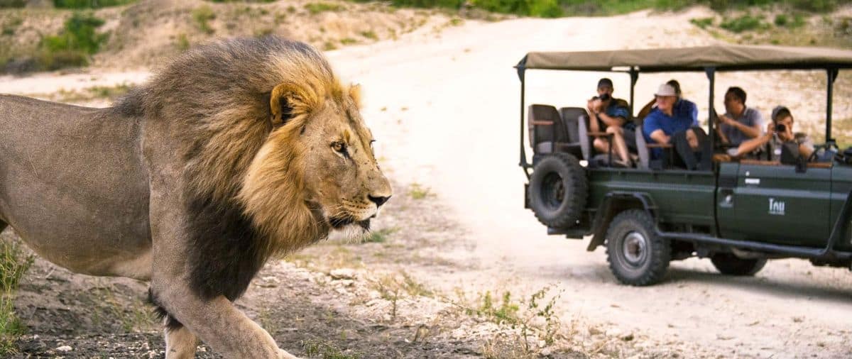 Selara africa luxury safari travel across botswana kenya south africa tanzania and egypt
