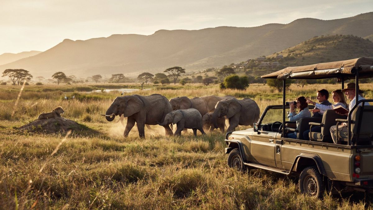 France joins uk and other travel markets as south africa’s tourism boom attracts global adventure demand
