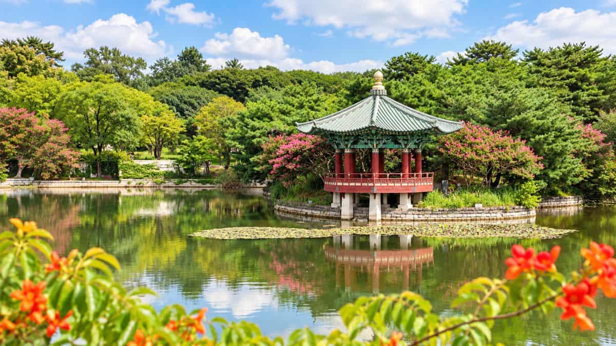 Solo traveller exploring south korea&rsquo;s coastal landscapes, traditional villages and cultural landmarks during a journey of self-discovery.
