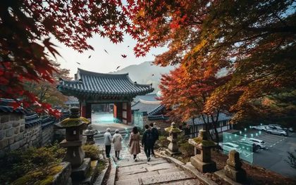 Travel News