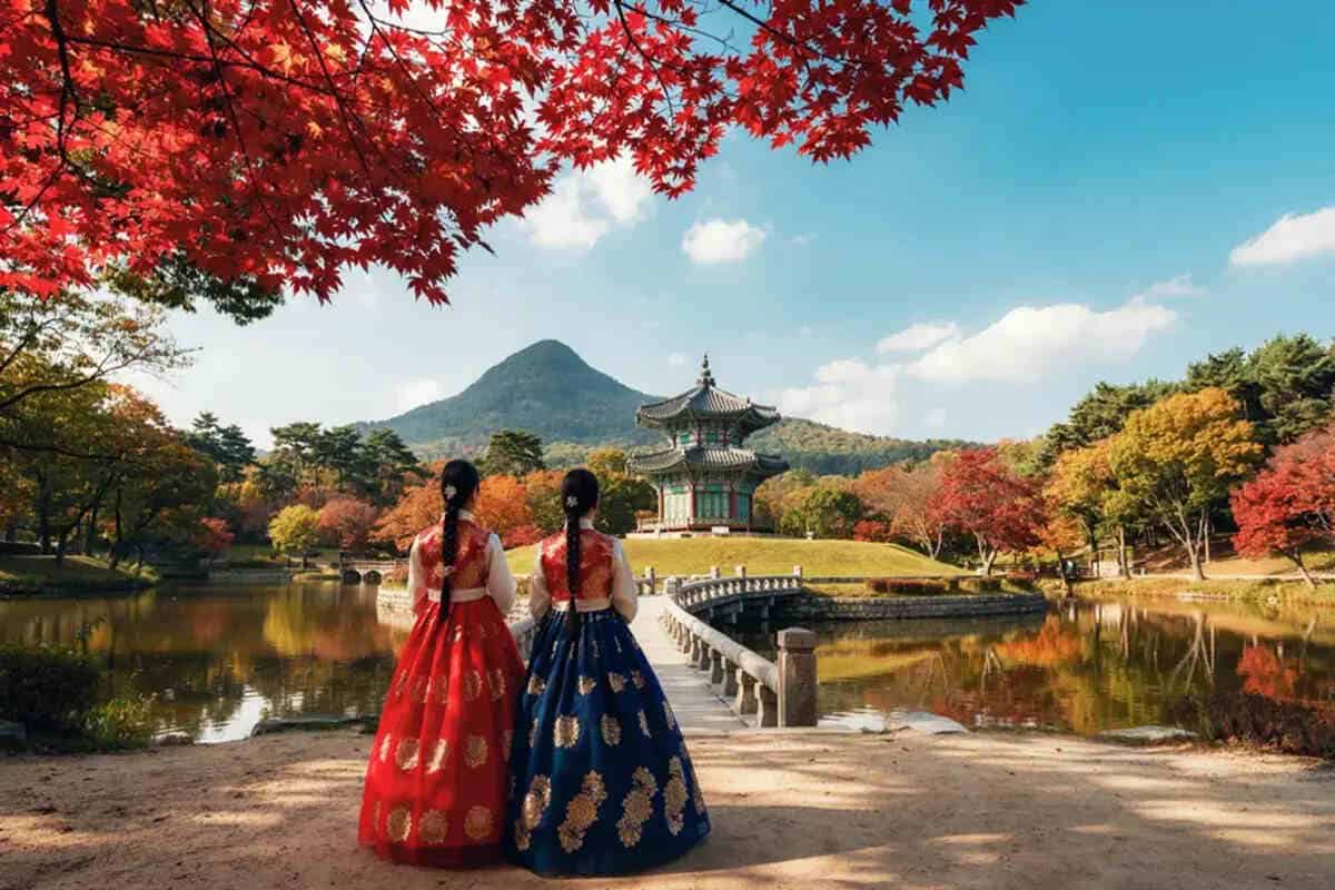South Korea Travel
Wellness Tourism
Tourism Growth