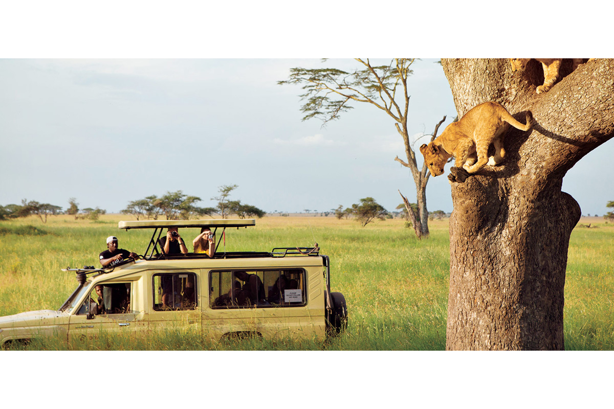 Shanghai and beijing lead historic surge in tanzania safari travel as northern serengeti expands