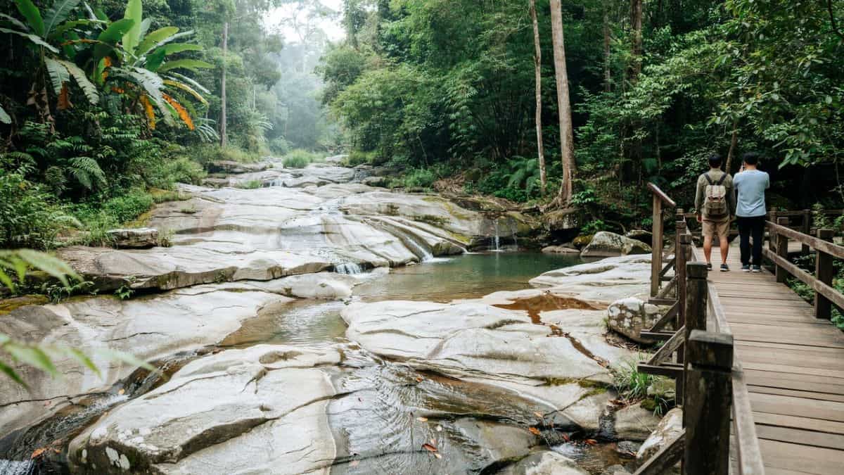 Nature tourism - travel and tour world Thailand is now set to unlock a new nature tourism opportunity as ubon ratchathani forest adventures grow