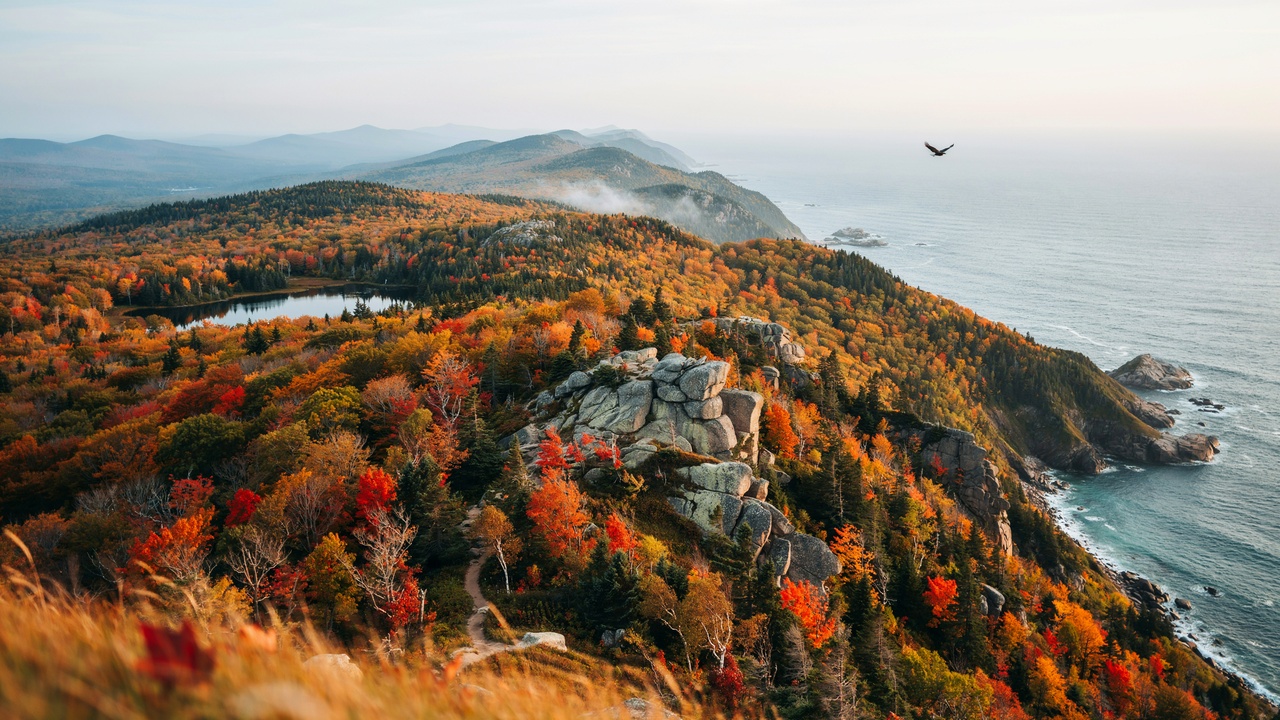 Acadia national park fall foliage with colourful autumn forests in maine