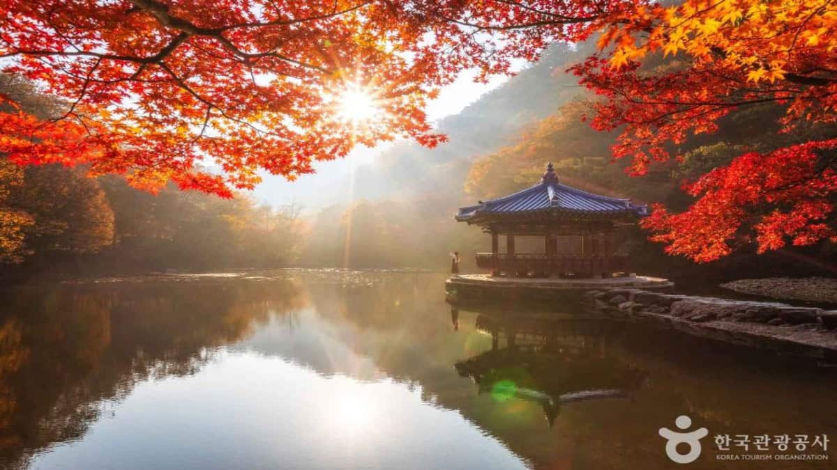 South Korea Tourism Unlocks Amazing Cultural Adventures For Global Travellers