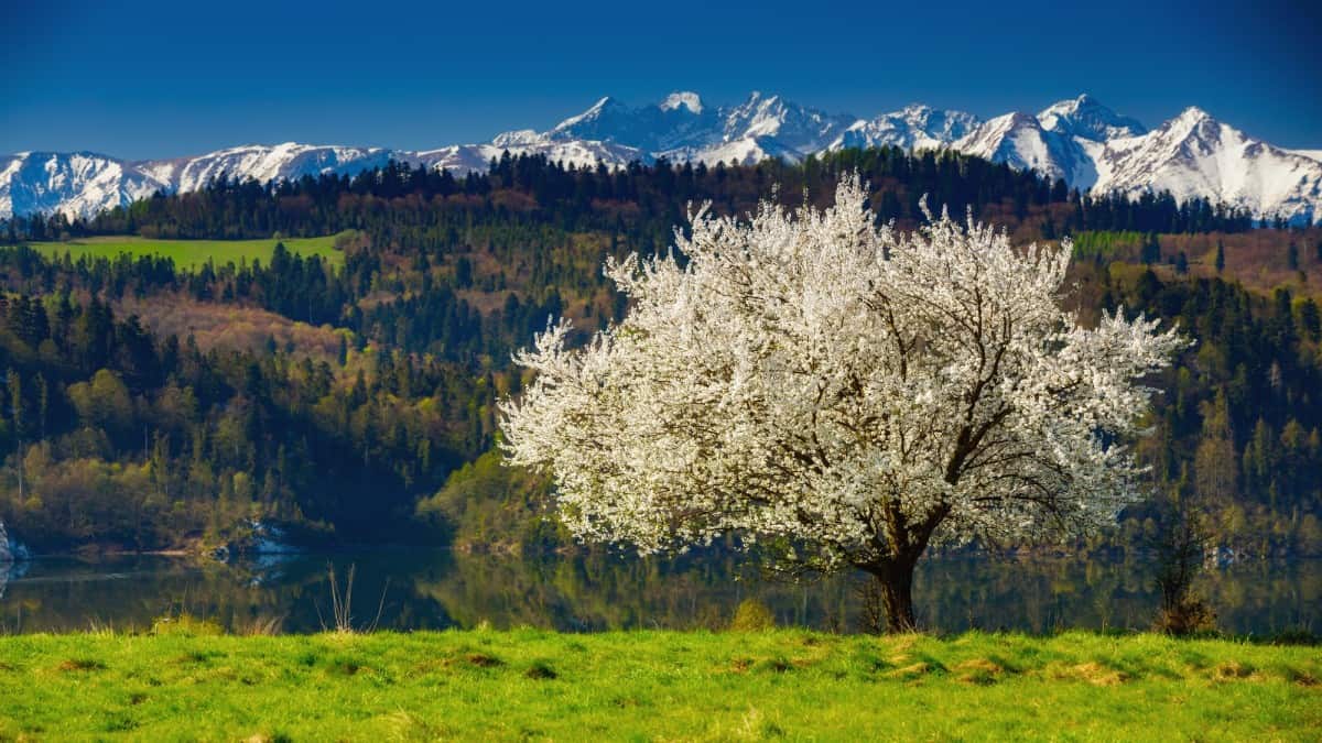 Visit poland