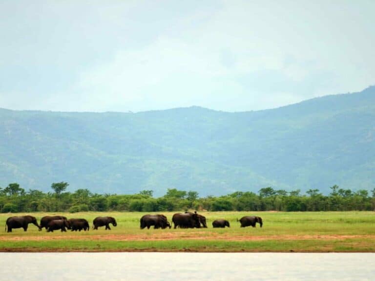 Namibia