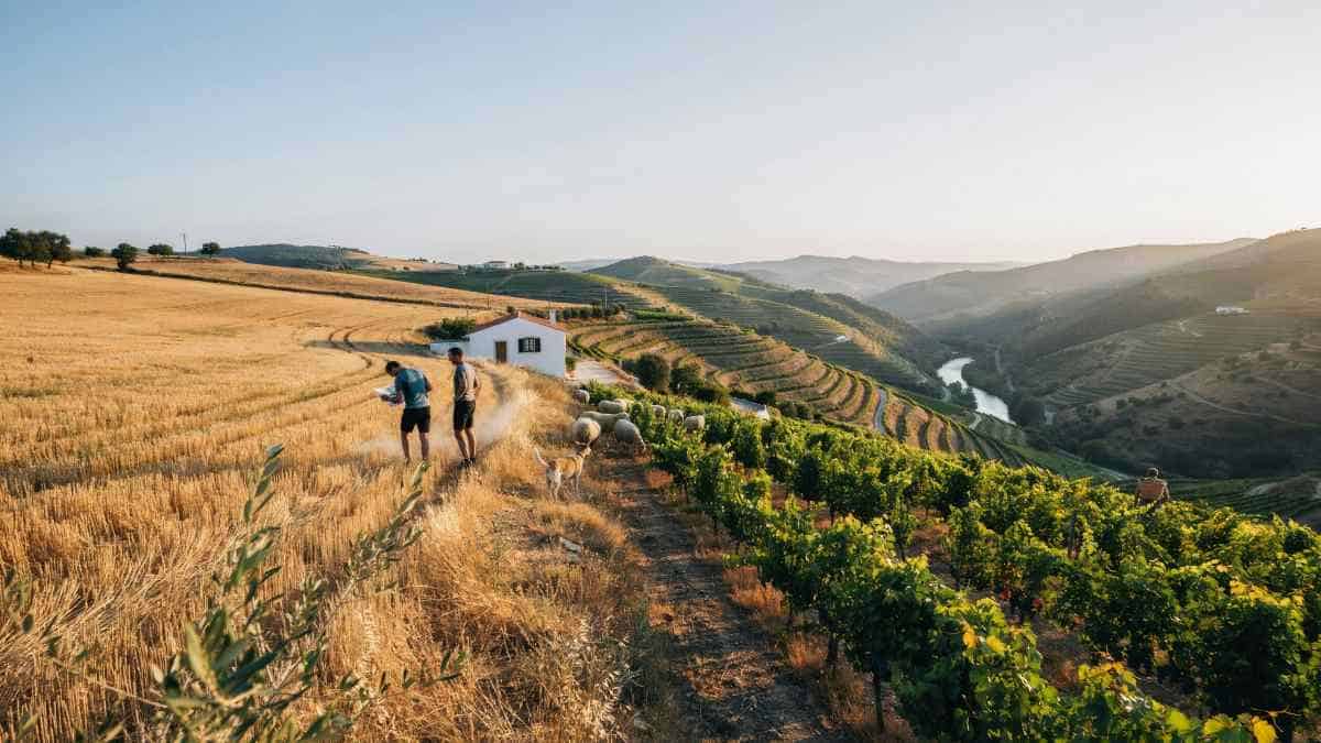Alentejo and douro strengthen portugal&rsquo;s rural tourism offer