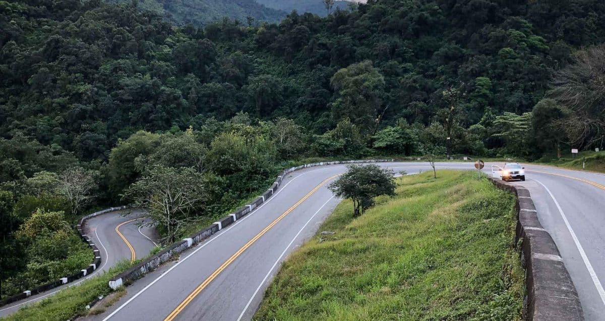 Argentina Shows Wild Nature Flourishes When Conscious Travel Protects Native Wildlife In Corrientes And Jujuy, All You Need To Know