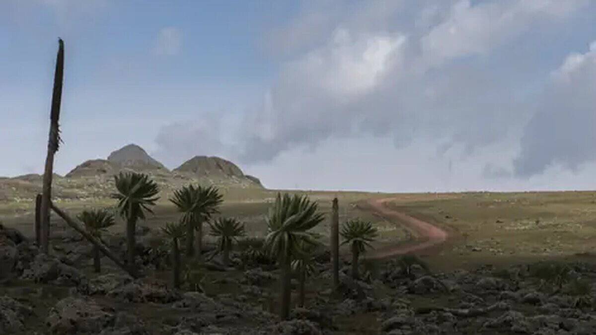 Ethiopia Expands Bale Conservation Tourism With Robe Access and Goba Park Links as Lodge Projects Advance