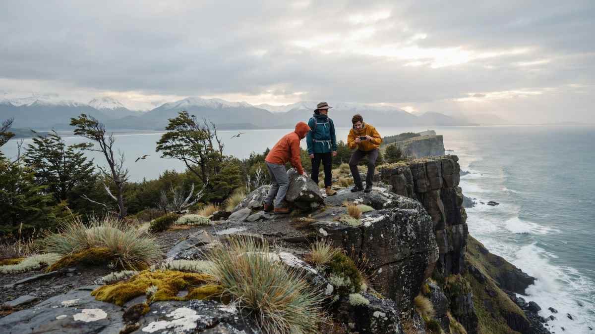 Cape forward - travel and tour world Cape froward protects chilean peatlands and huemul habitat