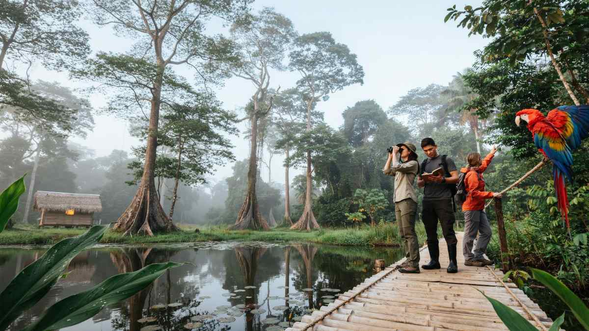 Conservation - travel and tour world Bolivia expands amazon corridors for community ecotourism