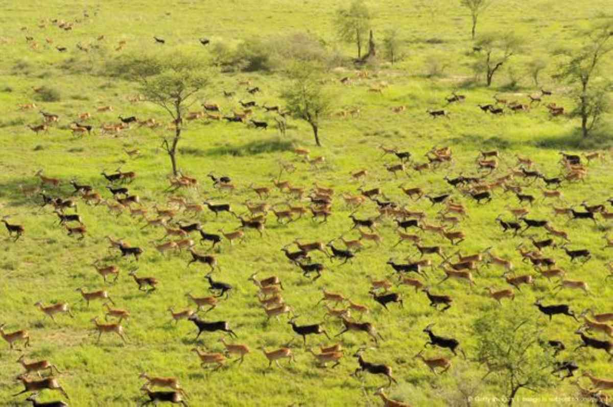 Ethiopia strengthens community participation in wildlife conservation